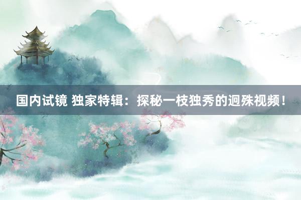 国内试镜 独家特辑：探秘一枝独秀的迥殊视频！