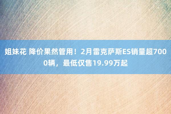 姐妹花 降价果然管用！2月雷克萨斯ES销量超7000辆，最低仅售19.99万起