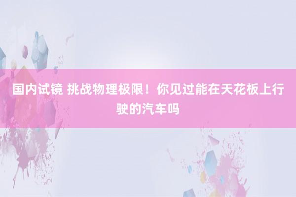 国内试镜 挑战物理极限！你见过能在天花板上行驶的汽车吗