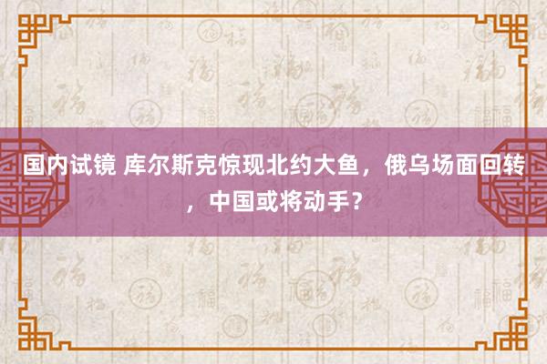 国内试镜 库尔斯克惊现北约大鱼，俄乌场面回转，中国或将动手？