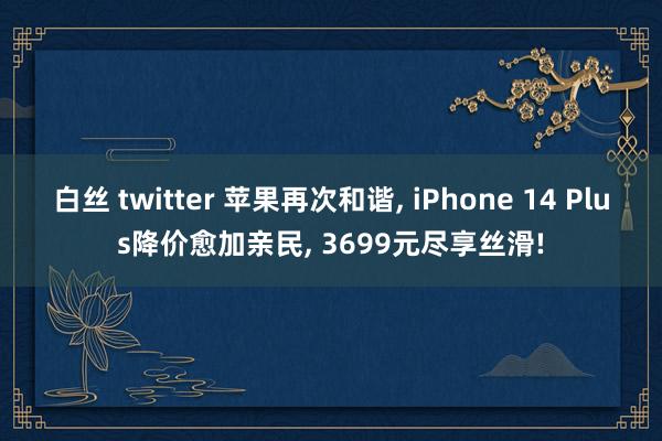 白丝 twitter 苹果再次和谐, iPhone 14 Plus降价愈加亲民, 3699元尽享丝滑!