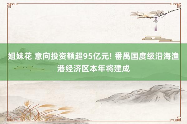 姐妹花 意向投资额超95亿元! 番禺国度级沿海渔港经济区本年将建成