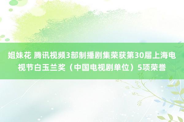 姐妹花 腾讯视频3部制播剧集荣获第30届上海电视节白玉兰奖（中国电视剧单位）5项荣誉