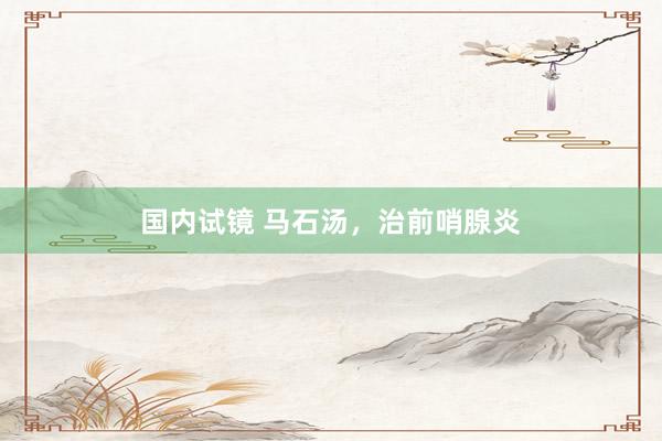 国内试镜 马石汤，治前哨腺炎